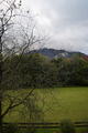 DSC_2427.JPG