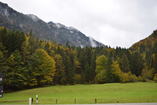 DSC_2436.JPG