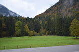 DSC_2442.JPG