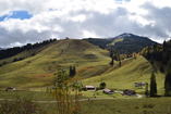 DSC_2443.JPG