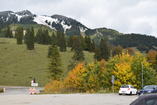 DSC_2445.JPG