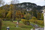 DSC_2479.JPG