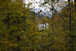 DSC_2503.JPG