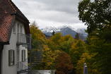 DSC_2520.JPG
