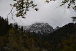 DSC_2533.JPG