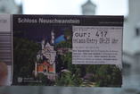 DSC_2537.JPG