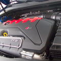 IMG_0005_3.jpg