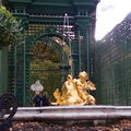 IMG_0008_1.jpg