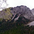 IMG_0017_1.jpg