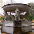 IMG_0017_2.jpg