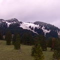 IMG_0020_2.jpg