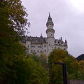 IMG_0021_1.jpg
