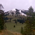 IMG_0021_2.jpg