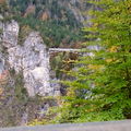 IMG_0025_1.jpg