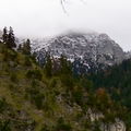 IMG_0026_1.jpg