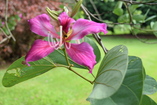 DSC_5070.JPG