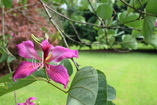 DSC_5071.JPG