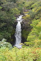 DSC_5078.JPG