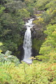 DSC_5079.JPG