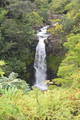 DSC_5080.JPG