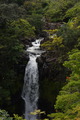 DSC_5084.JPG