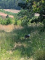 PXL_20250615_194858008.jpg