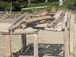 PXL_20250616_231626171.jpg