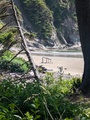 PXL_20250616_232634570.jpg