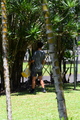 DSC_8876.JPG