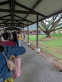 PXL_20260919_041134295.jpg