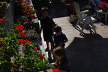 DSC_7411.JPG