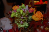 DSC_8384.JPG