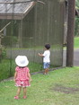 r_IMG_0477.JPG