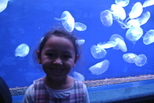 DSC_3782.JPG